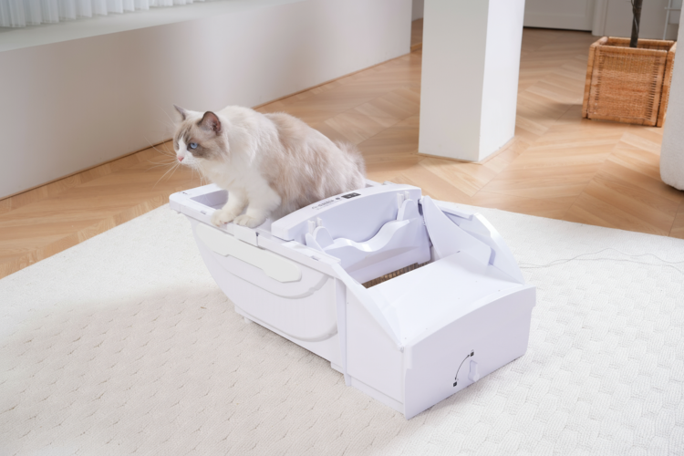 Smart Cat Litter Box Cat Litter Box Wide Opening With Hood