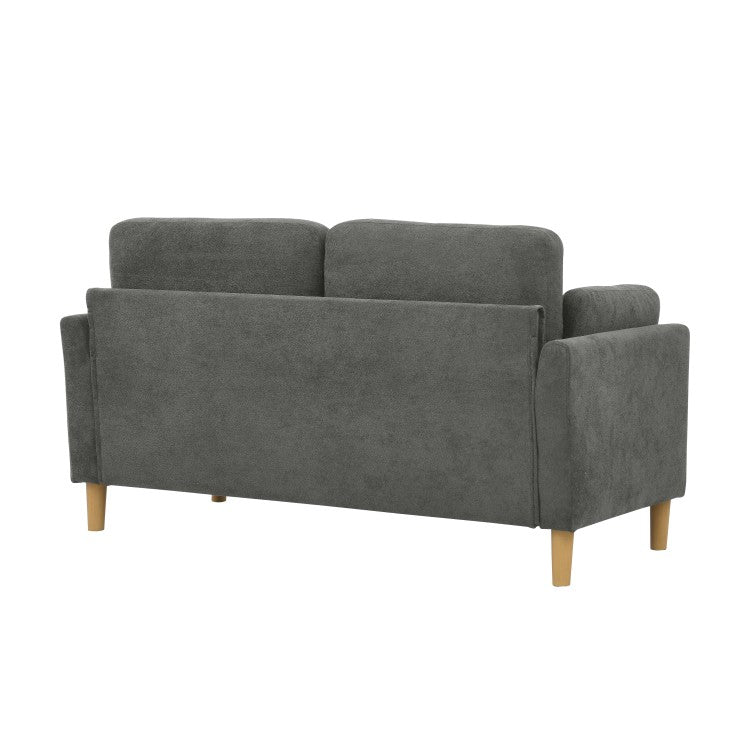 Modern Minimalist 2 Seater Sofa