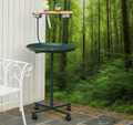 Bird Training Activity Playground With