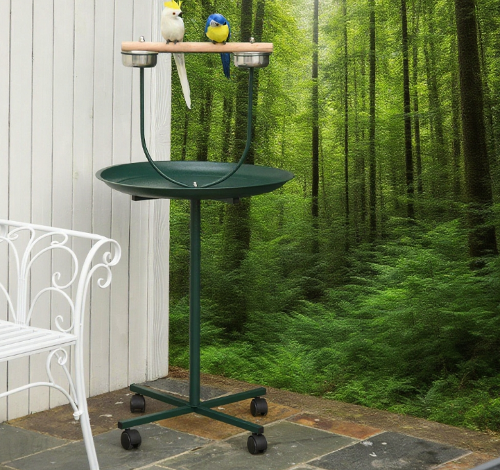 Bird Training Activity Playground With