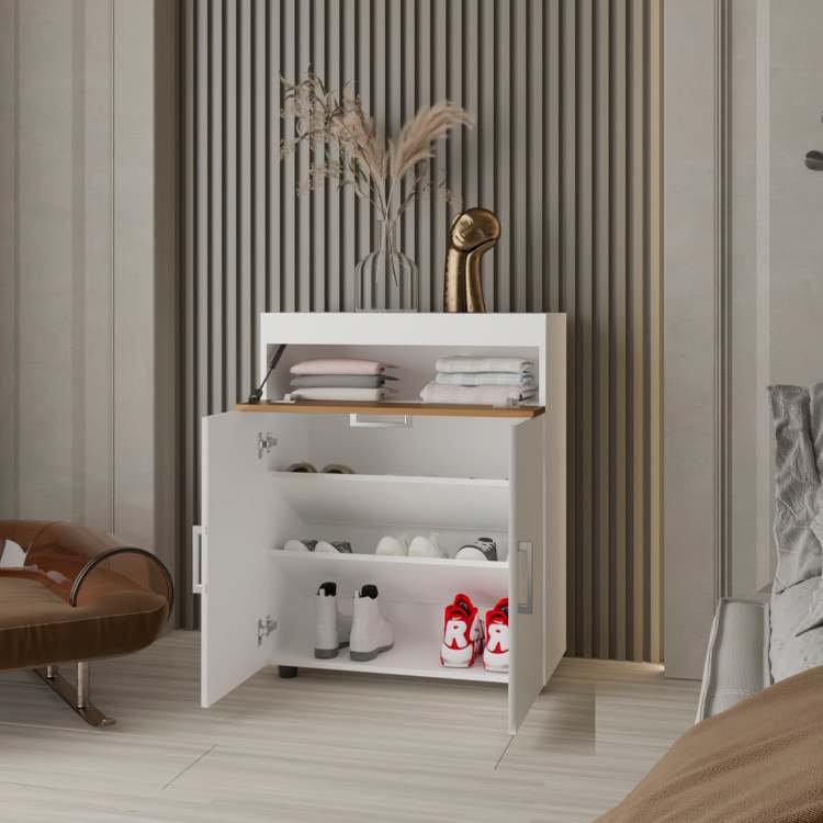 Pneumatic Lift Up Compartment Shoe Rack