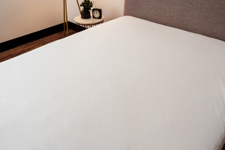Encased Polyester Hypoallergenic Twin Mattress Protector