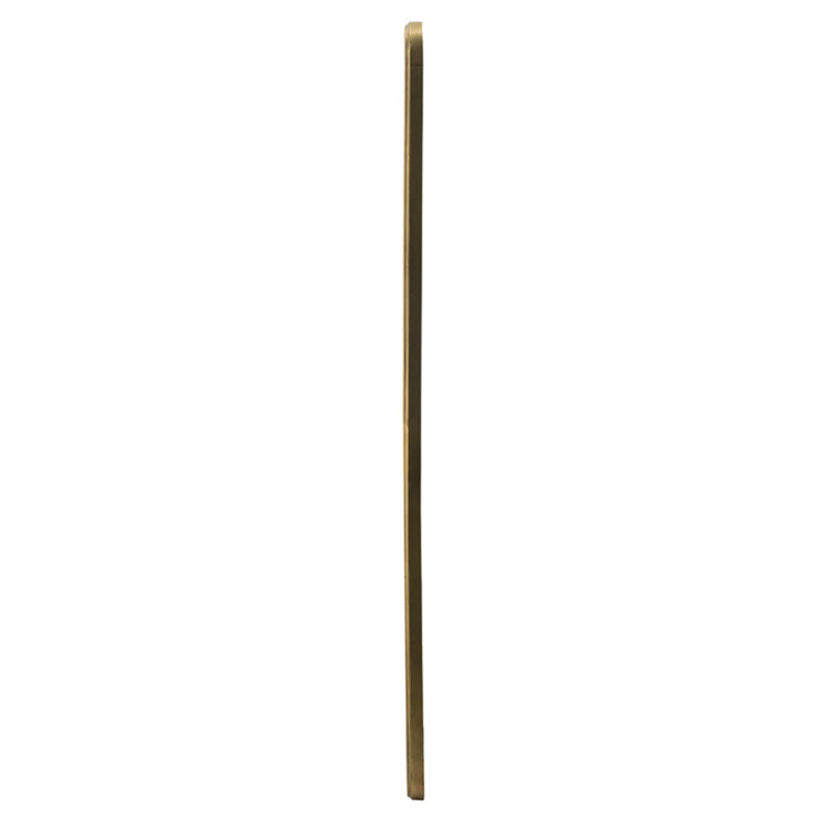 47" X 8" Full Length Mirror With Antique Gold Metal Frame, Long Mirror For Hallway Living Room Bedroom Bathroom