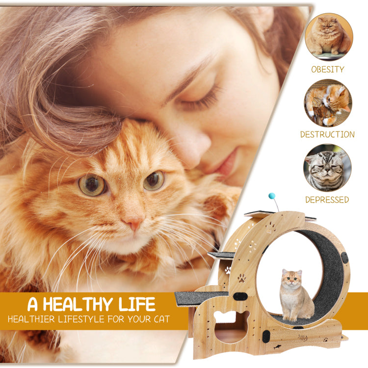 Cat Wheel 6 In 1 Cat Exercise Wheel,Upgraded Cat Wheel Exerciser For Indoor Cats,Large Cat Treadmill,Cat Running Wheel With Silent Wheel,Cat Walking Wheel Cat Furniture Cat Toys
