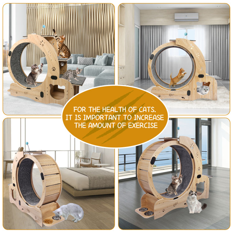 Cat Wheel 6 In 1 Cat Exercise Wheel,Upgraded Cat Wheel Exerciser For Indoor Cats,Large Cat Treadmill,Cat Running Wheel With Silent Wheel,Cat Walking Wheel Cat Furniture Cat Toys