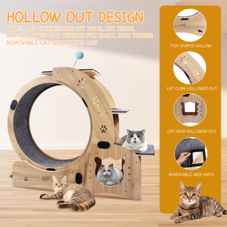 Cat Wheel 6 In 1 Cat Exercise Wheel,Upgraded Cat Wheel Exerciser For Indoor Cats,Large Cat Treadmill,Cat Running Wheel With Silent Wheel,Cat Walking Wheel Cat Furniture Cat Toys
