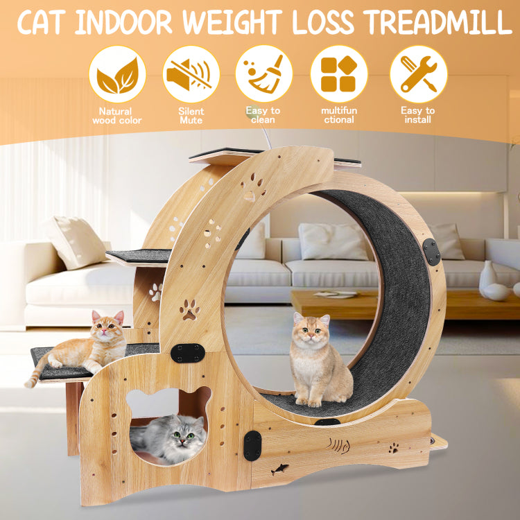 Cat Wheel 6 In 1 Cat Exercise Wheel,Upgraded Cat Wheel Exerciser For Indoor Cats,Large Cat Treadmill,Cat Running Wheel With Silent Wheel,Cat Walking Wheel Cat Furniture Cat Toys