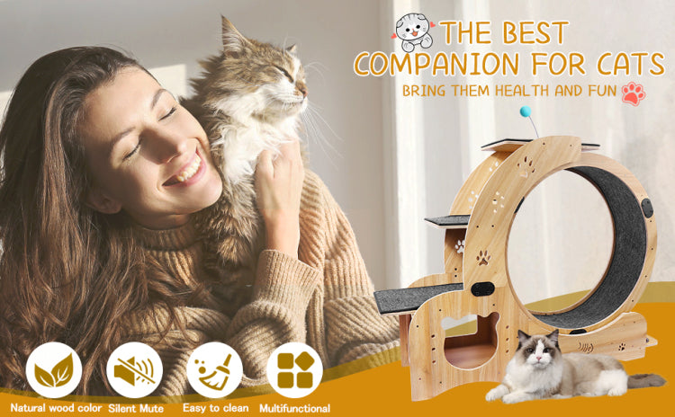 Cat Wheel 6 In 1 Cat Exercise Wheel,Upgraded Cat Wheel Exerciser For Indoor Cats,Large Cat Treadmill,Cat Running Wheel With Silent Wheel,Cat Walking Wheel Cat Furniture Cat Toys