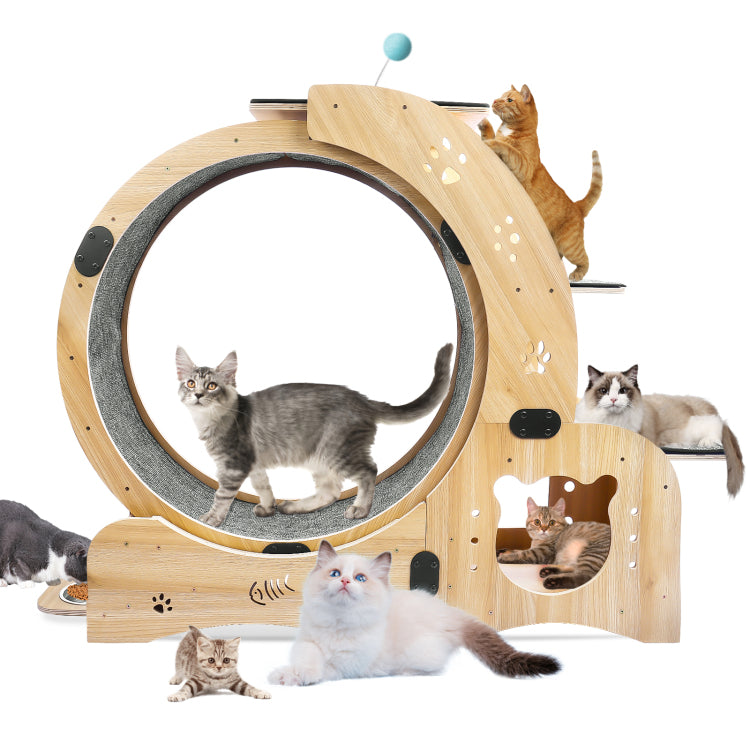 Cat Wheel 6 In 1 Cat Exercise Wheel,Upgraded Cat Wheel Exerciser For Indoor Cats,Large Cat Treadmill,Cat Running Wheel With Silent Wheel,Cat Walking Wheel Cat Furniture Cat Toys