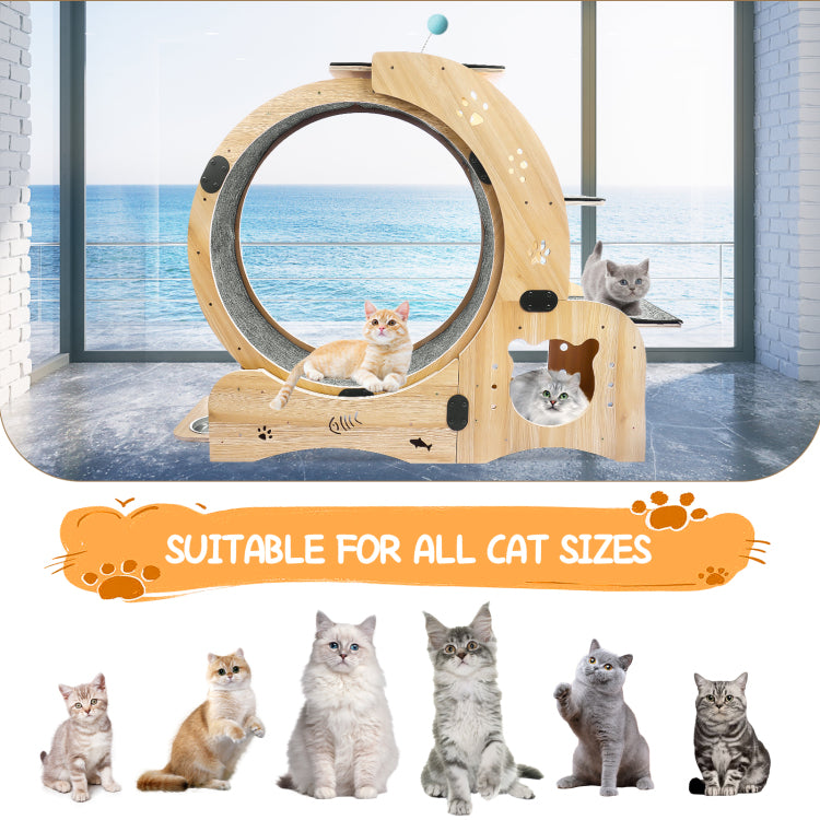 Cat Wheel 6 In 1 Cat Exercise Wheel,Upgraded Cat Wheel Exerciser For Indoor Cats,Large Cat Treadmill,Cat Running Wheel With Silent Wheel,Cat Walking Wheel Cat Furniture Cat Toys