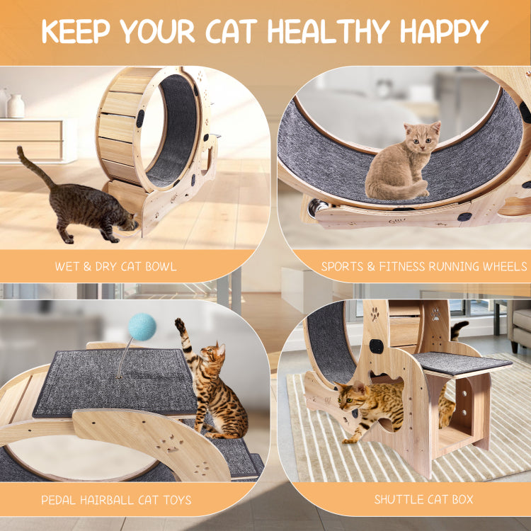 Cat Wheel 6 In 1 Cat Exercise Wheel,Upgraded Cat Wheel Exerciser For Indoor Cats,Large Cat Treadmill,Cat Running Wheel With Silent Wheel,Cat Walking Wheel Cat Furniture Cat Toys