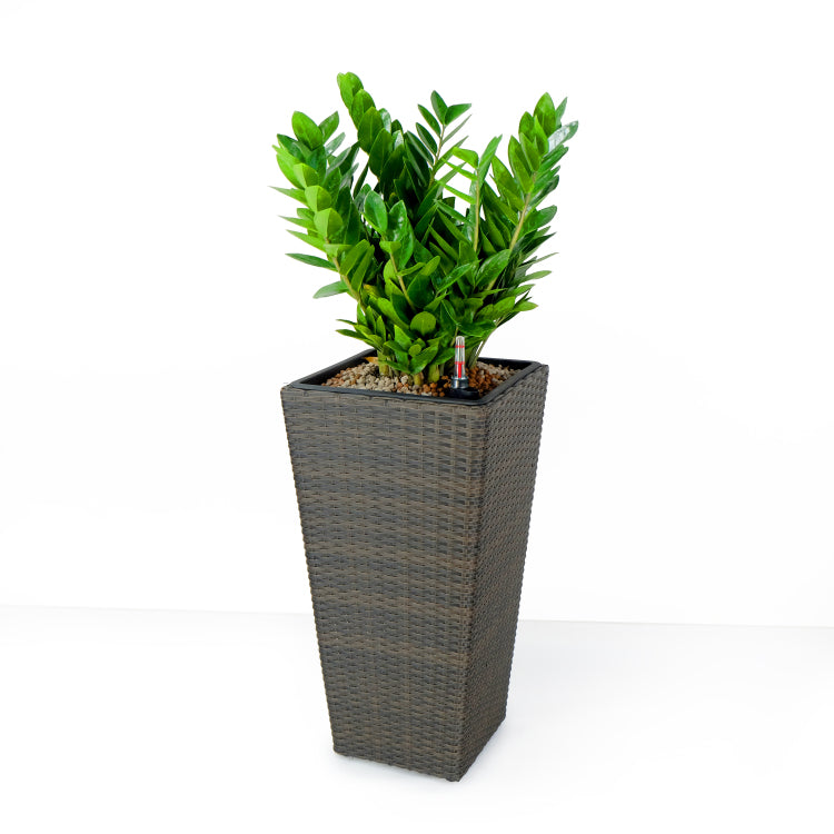 2 Pack Self Watering Planter Hand Woven Wicker Square Expresso