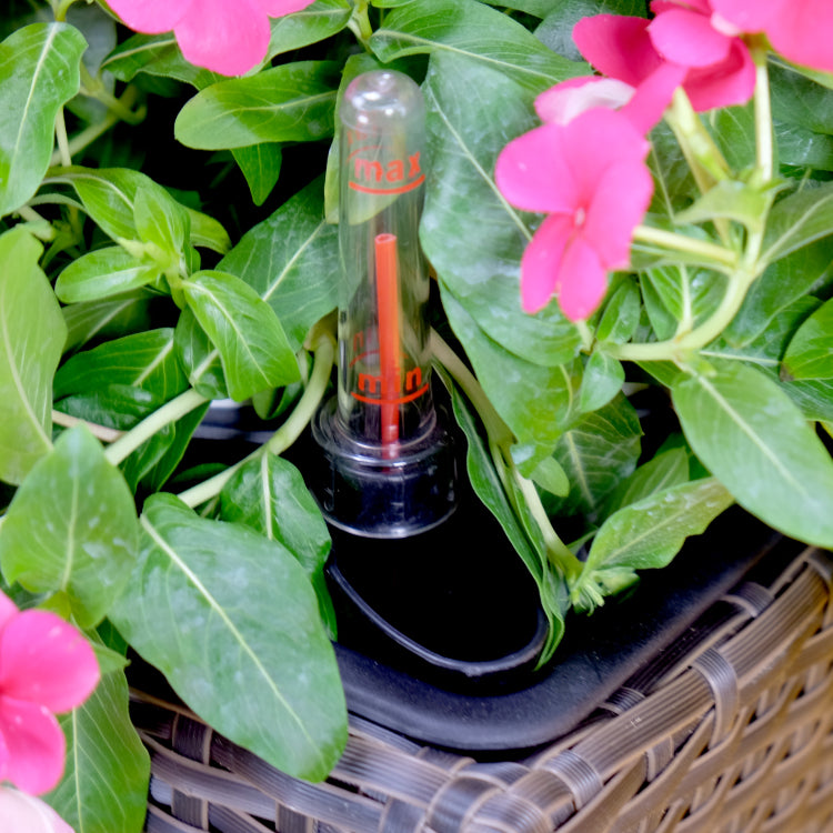 2 Pack Self Watering Planter Hand Woven Wicker Square Expresso