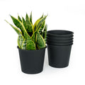 5" Round Nursery Plant Pot Garden Plastic Pots With Drainage 5 Pack