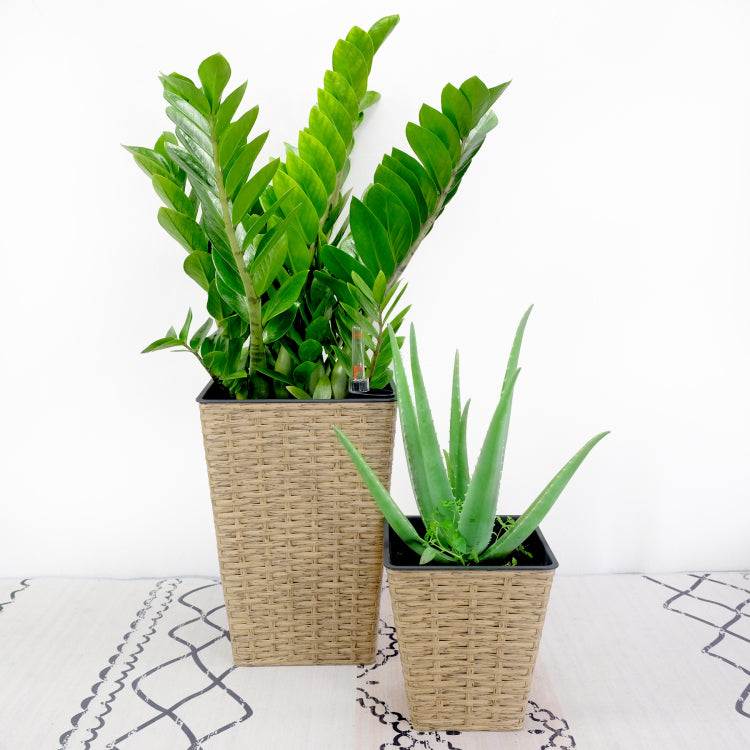 2 Pack Smart Self Watering Square Planter For Indoor And Outdoor Hand Woven Wicker Brown