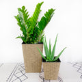 2 Pack Smart Self Watering Square Planter For Indoor And Outdoor Hand Woven Wicker Brown