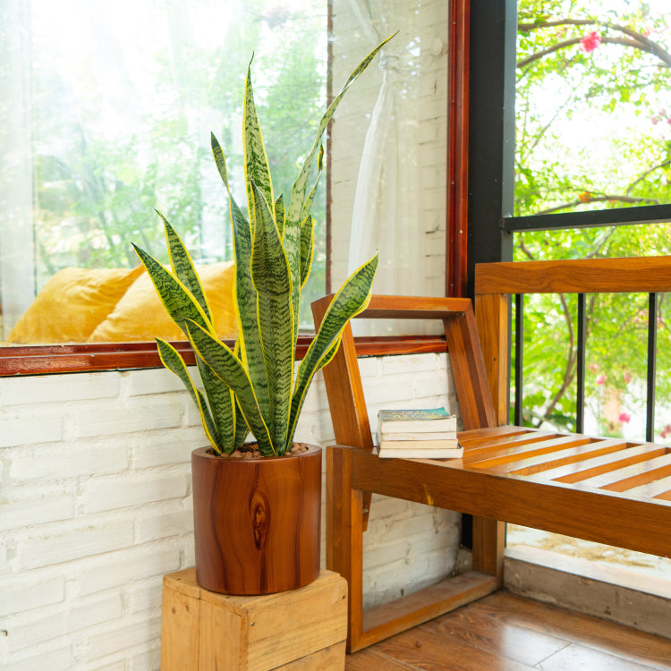 7.8 In. Dark Wood Plastic Self Watering Planter Pot
