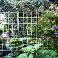 2 Pack Metal Garden Trellis 86.7" X 19.7" Rustproof Trellis For Climbing Plants Outdoor Flower Support Cream White