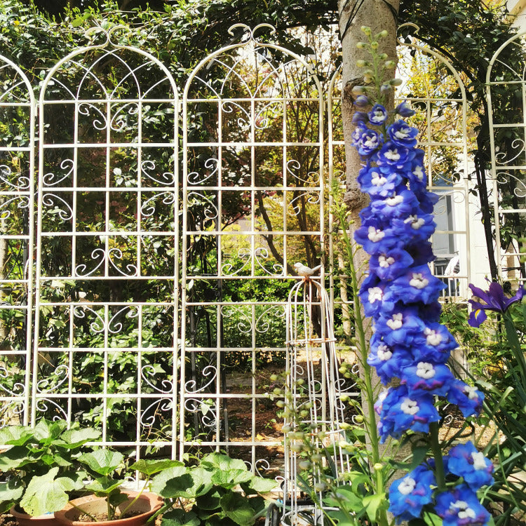 2 Pack Metal Garden Trellis 86.7" X 19.7" Rustproof Trellis For Climbing Plants Outdoor Flower Support Cream White