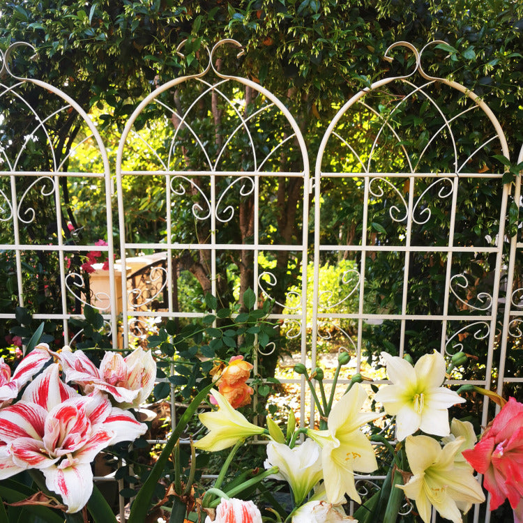 2 Pack Metal Garden Trellis 86.7" X 19.7" Rustproof Trellis For Climbing Plants Outdoor Flower Support Cream White
