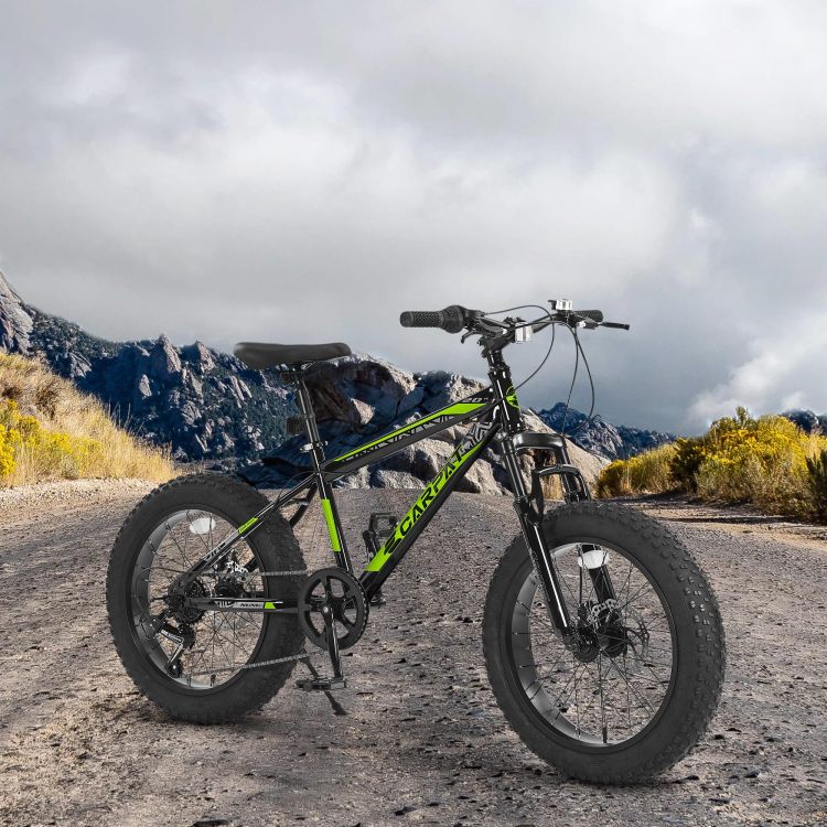 S20109 20 Inch Mountain Bike For Kids And Teenagers, High Carbon Steel Frame, Disc Brakes, Durable Wide Tires, Front Suspension, 7 Speed, Ideal For Snow And Off Road Riding