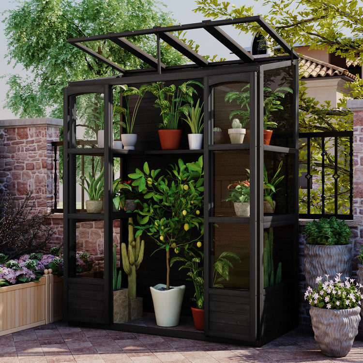 78 Inch Wooden Greenhouse Cold Frame With 4 Independent Skylights And 2 Folding Middle Shelves, Walk In Outdoor Greenhouse, Black