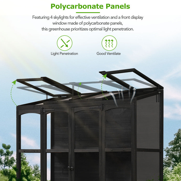 78 Inch Wooden Greenhouse Cold Frame With 4 Independent Skylights And 2 Folding Middle Shelves, Walk In Outdoor Greenhouse, Black