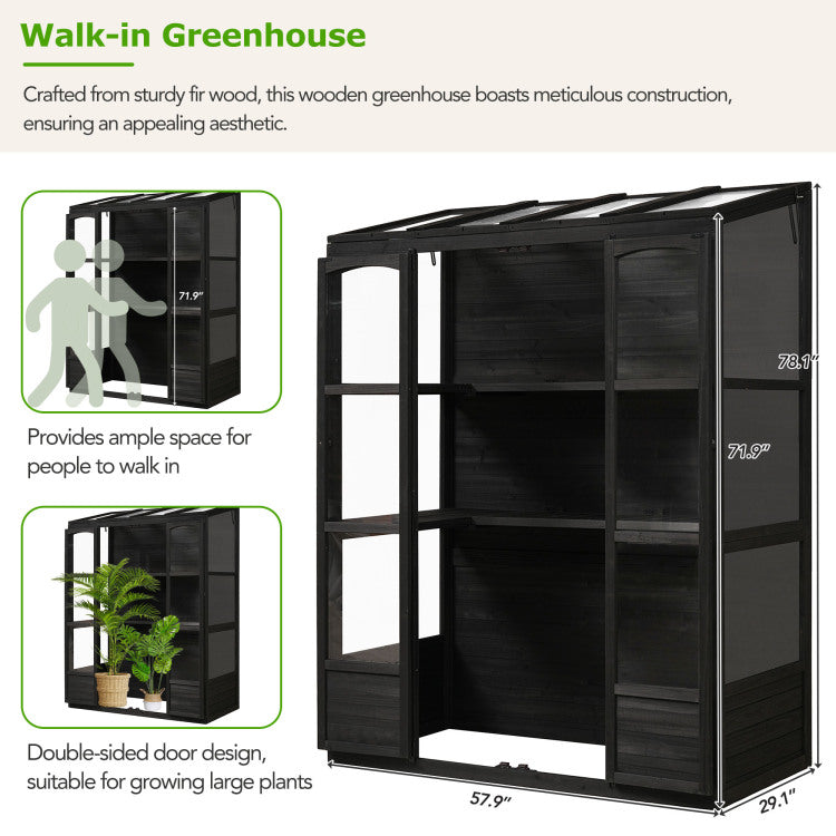 78 Inch Wooden Greenhouse Cold Frame With 4 Independent Skylights And 2 Folding Middle Shelves, Walk In Outdoor Greenhouse, Black