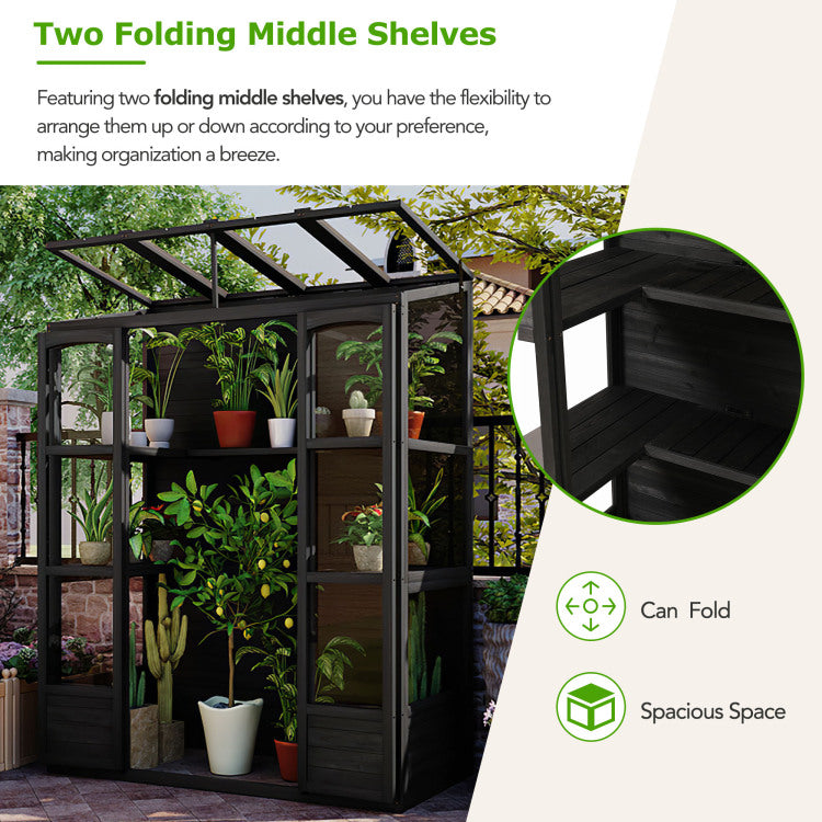 78 Inch Wooden Greenhouse Cold Frame With 4 Independent Skylights And 2 Folding Middle Shelves, Walk In Outdoor Greenhouse, Black