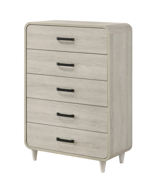 1Pc Contemporary White Finish Ample Drawer Space Five Drawers Tall Chest Storage Wooden Furniture Antique White Color