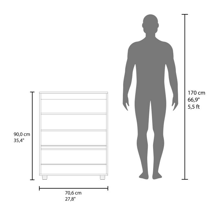 Pneumatic Lift Up Compartment Shoe Rack