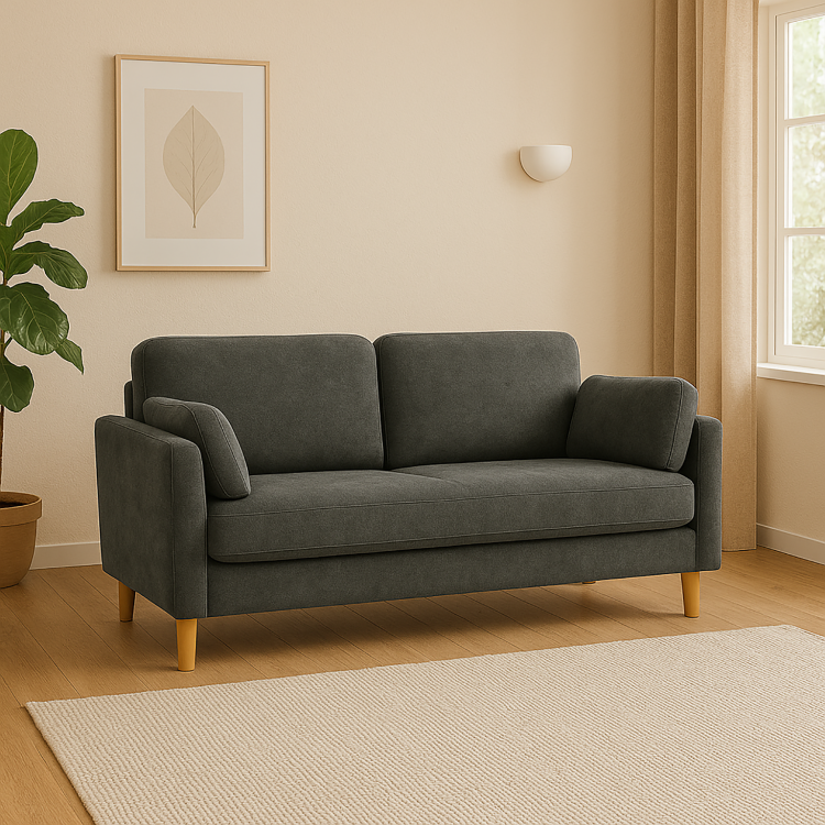 Modern Minimalist 2 Seater Sofa