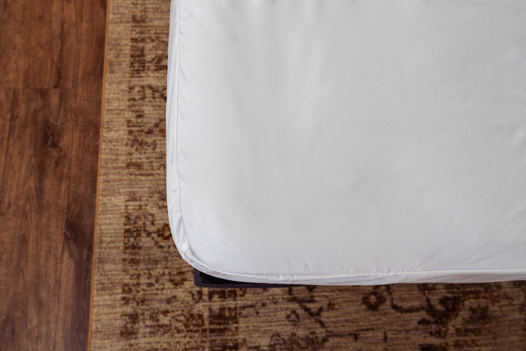 Encased Polyester Hypoallergenic Twin Mattress Protector