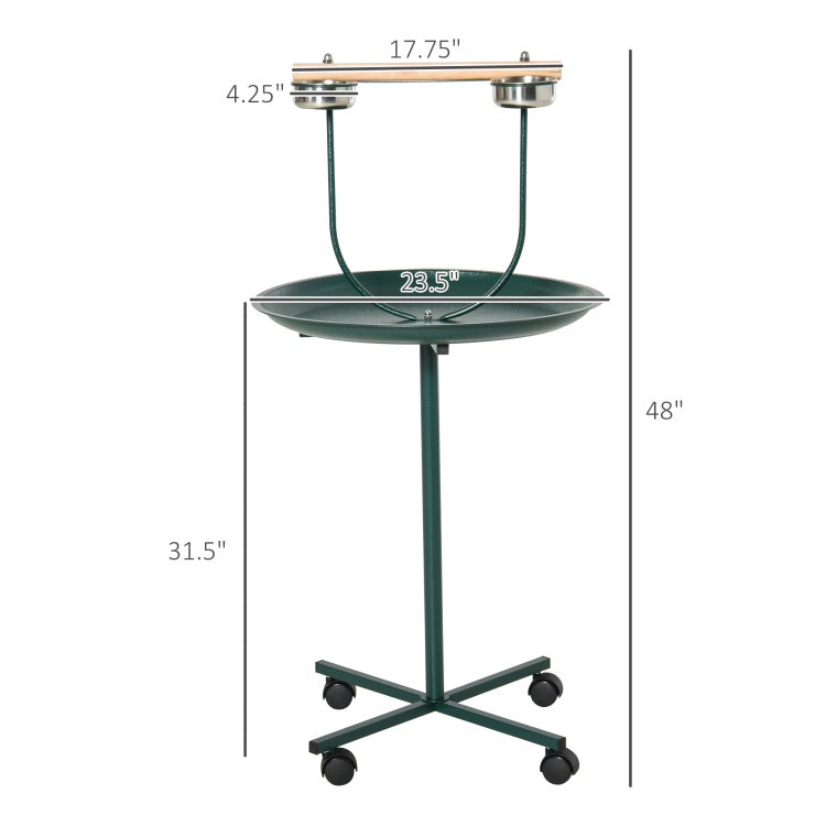 Bird Training Activity Playground With