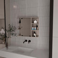 Roseburg 6 Shelf Medicine Cabinet With Mirorr Light Grey