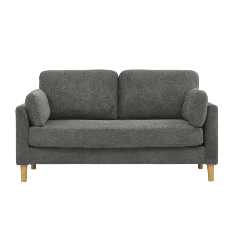 Modern Minimalist 2 Seater Sofa