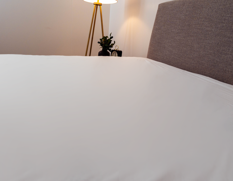 Encased Polyester Hypoallergenic Twin Mattress Protector
