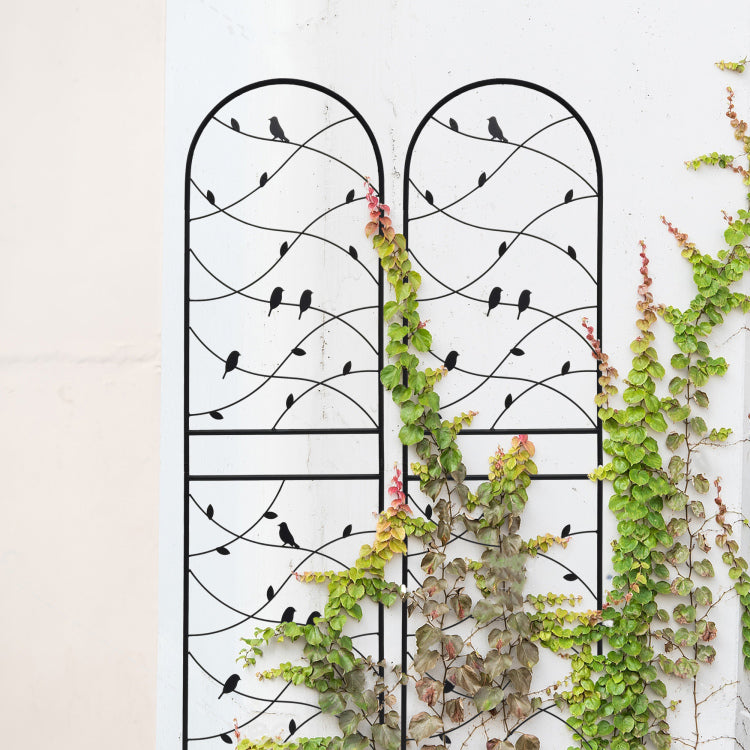 2 Pack Metal Garden Trellis 71" X 19.7" Rustproof Trellis For Climbing Plants Outdoor Flower Support Bird Deco Black