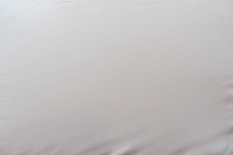 Encased Polyester Hypoallergenic Twin Mattress Protector