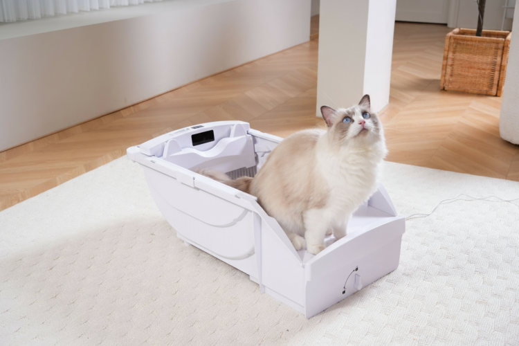 Smart Cat Litter Box Cat Litter Box Wide Opening With Hood