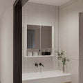 Manchester Rectangle Medicine Cabinet With Mirror White