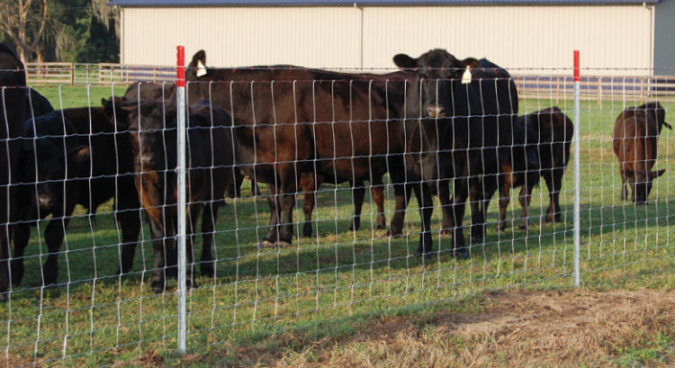Farm Fence 4Ft X 328Ft 14Gauge Heavy Zinc Coating Cattle Fence,Galvanized Field Wire Fencing Deer Fence,Goat Fence,Hog Wire Fencing For Yard Livestock & Animals Protection