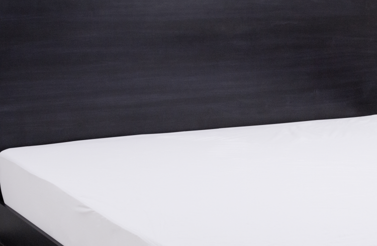 Terry Loop Hypoallergenic Twin Mattress Protector