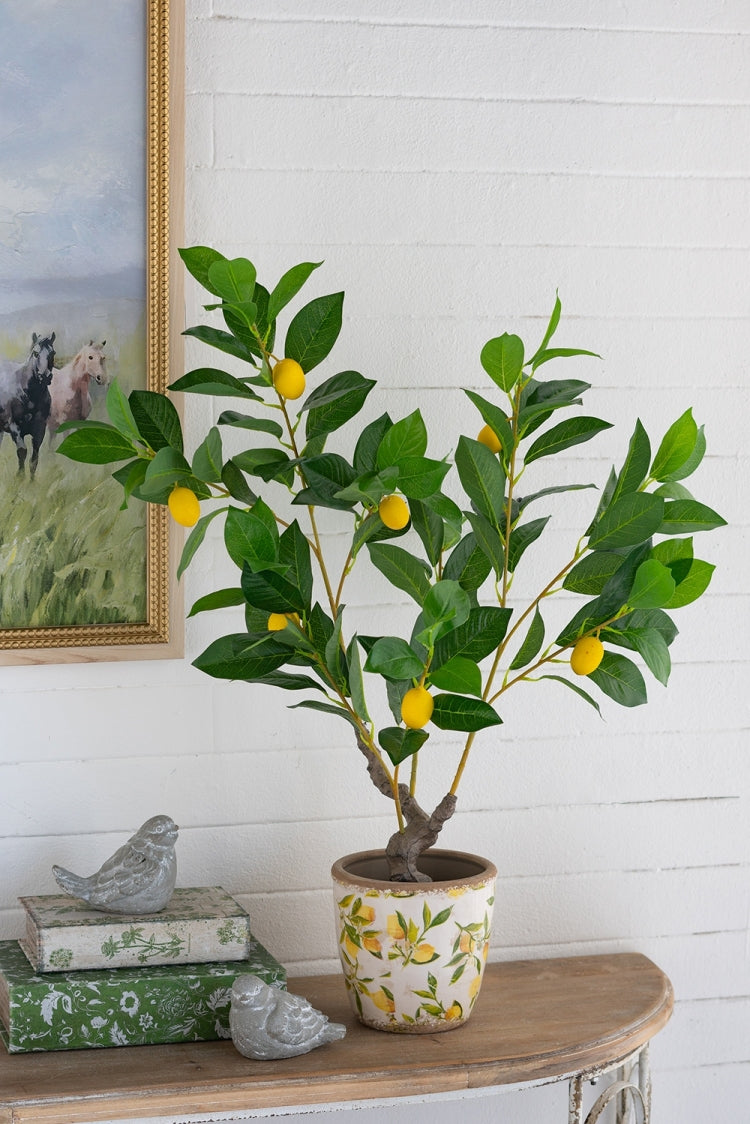 12X12X31.5"H Artificial Peva Lemon Tree With Lifelike Greenery And Black Plastic Pot