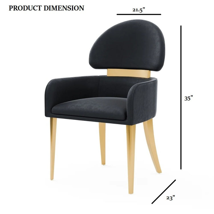 Contemporary Style 2Pc Arms Chairs Stainless Steel Gold Matte Finish Dining Room Furniture Black