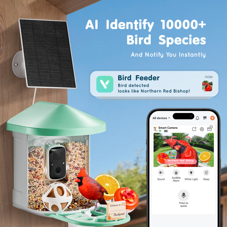 Smart Bird Feeder With Camera 2K Hd Ai Identify Bird Species Auto Capture