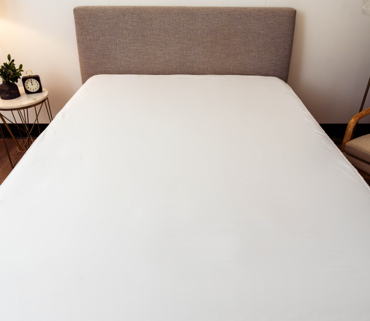 Encased Polyester Hypoallergenic Twin Mattress Protector