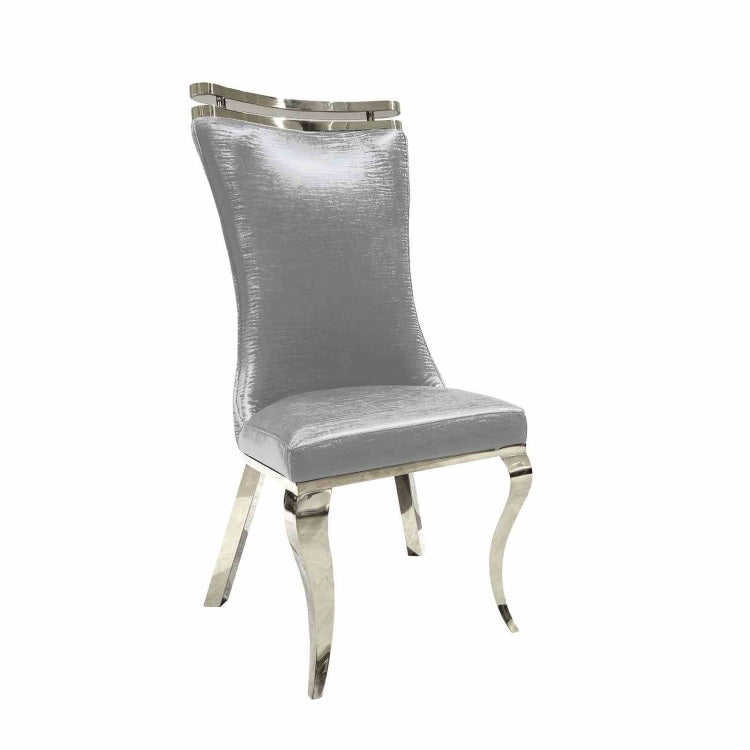 Glam Style 2Pc Side Chair Leather Upholstered Tiger Printed Saber Legs Silver Finish Dining Room