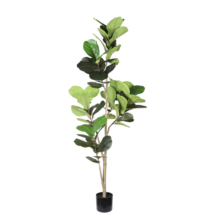 6Ft Artificial Fiddle Leaf Fig Tree With Black Plastic Pot, Real Touch Fake Indoor Plant For Home Office Living Room Corner Decoration, 1Pc Set