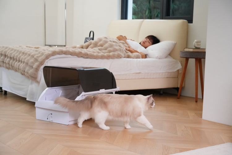 Smart Cat Litter Box Cat Litter Box Wide Opening With Hood
